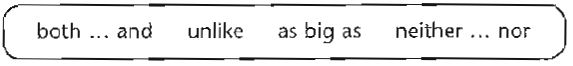 words d